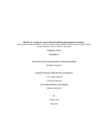 Nile Rat as a model for Type-II Diabetes Mellitus Development in Humans: assessing the impact of hiFiber from commercial chows [Rabbit and Chinchilla chow] vs  hiCHO semipurified diets with or without carrot fiber