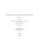 Investigation into cooperative DNA binding by the Gal4-VP16 transcription factor