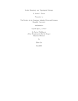 Scaled Homology and Topological Entropy
