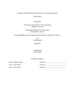 The Role of PAR-bZIP Transcription Factors in Audiogenic Seizures