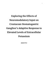 Exploring the Effects of Neuromodulatory Input on Crustacean Stomatogastric Ganglion’s Adaptive Response to Elevated Levels of Extracellular Potassium