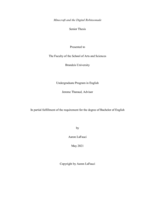 Minecraft and the Digital Robinsonade