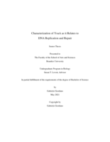Characterization of YoaA as it Relates to DNA Replication and Repair