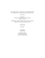 Process Improvement: A Temporary Fix or an Embedded Culture? How Hospitals Perceive and Sustain Continuous Improvement