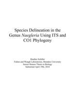 Species Delineation in the Genus Naegleria Using ITS and CO1 Phylogeny