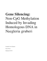 Gene Silencing: Non-CpG Methylation Induced by Invading Homologous DNA in Naegleria gruberi
