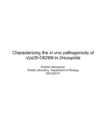 Characterizing the in vivo pathogenicity of Vps35-D620N in Drosophila