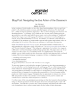 Blog Post: Navigating the Live Action of the Classroom