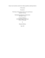 Attractor state transitions and decision-making algorithms underlying behavior