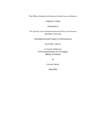 The Effect of Spatial and Dynamic Visual Cues on Balance