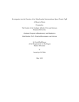 Investigation into the Function of the Mitochondrial Intermembrane Space Protein ClpB