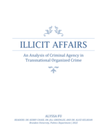 Illicit Affairs: An Analysis of Criminal Agency in Transnational Organized Crime