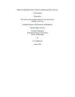 Multiscale Modeling Studies of Self-Assembling and Active Systems