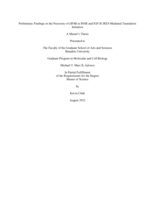 Preliminary Findings on the Necessity of eIF4B in INSR and IGF1R IRES Mediated Translation Initiation