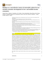 Bamboo as a Cost-Effective Source of Renewable Carbon for Sustainable Economic Development in Low- and Middle-Income Economies