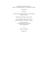 Maladaptive Homeostatic Plasticity: Impact of Prolonged Silencing on Cellular Hyperexcitability