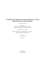 A Mechanism for Phenotypic Tuning of Influenza A Virion Shape During Attenuated Infection