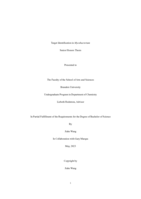 Target Identification in Mycobacterium