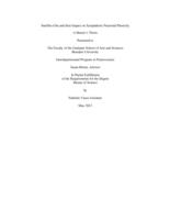 Satellite Glia and their Impact on Sympathetic Neuronal Plasticity