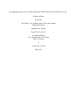 Investigating the Interactions of DnaQ, a Subunit in DNA Polymerase III, with HolE and YoaA