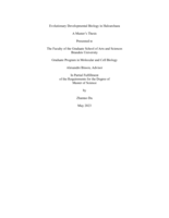 Evolutionary Developmental Biology in Haloarchaea