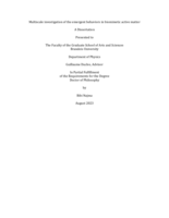Multiscale investigation of the emergent behaviors in biomimetic active matter
