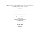 Regulation of experience dependent plasticity in the rodent developing visual cortex: cholinergic modulation of upward homeostasis