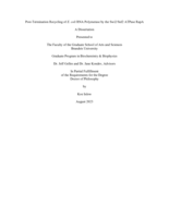 Post-Termination Recycling of E. coli RNA Polymerase by the Swi2/Snf2 ATPase RapA