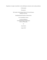 Regulation of synaptic extracellular vesicle trafficking by endocytic and recycling machinery