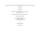 Structural Analysis and Client Binding Studies of the ER-Specific Molecular Chaperones BiP and Grp94