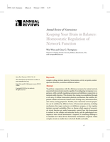 Keeping Your Brain in Balance: Homeostatic Regulation of Network Function