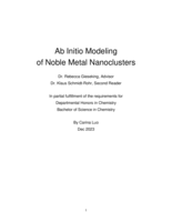 Ab Initio Modeling of Noble Metal Nanoclusters