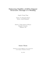Enhancing Stability of DNA Origami Structures Through UV-Welding