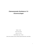Chemoenzymatic Synthesis of 13-Oxoverruculogen