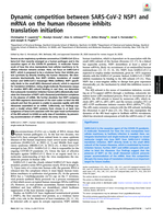 Dynamic competition between SARS-CoV-2 NSP1 and mRNA on the human ribosome inhibits translation initiation
