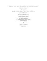 Hyperbolic metric spaces, their boundaries, and north-south dynamics
