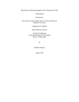 Beside Sense: Phenomenography and Contemporary Poetry