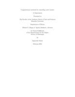 Computational methods for controlling active matter