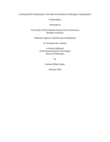 Unlocking SHP2 Phosphatase: From Natural Activation to Pathogenic Dysregulation