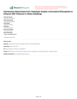 Harnessing Haloarchaea from Halophyte Atriplex nummularia Rhizosphere to Enhance Salt Tolerance in Maize Seedlings