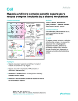 Hypoxia and intra-complex genetic suppressors rescue complex I mutants by a shared mechanism