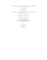 On the detections by refined Seiberg-Witten type invariants