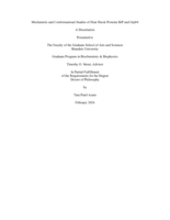 Mechanistic and Conformational Studies of Heat Shock Proteins BiP and Grp94