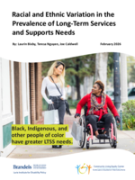 Racial and Ethnic Variation in the Prevalence of Long-Term Services and Supports Needs