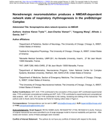Noradrenergic neuromodulation produces a NMDAR-dependent network state of respiratory rhythmogenesis in the preBötzinger Complex