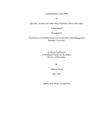 Understanding Career Paths  of Specialty Alcohol and Other Drug Treatment Service Providers