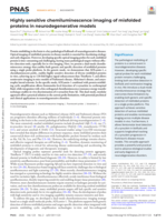 Highly sensitive chemiluminescence imaging of misfolded proteins in neurodegenerative models