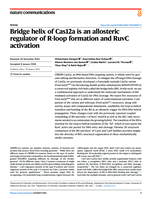 Bridge helix of Cas12a is an allosteric regulator of R-loop formation and RuvC activation