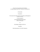 Chronic Pain Among People with Disabilities: An Epidemiologic Study of Pain, Treatment, and Alcohol Use