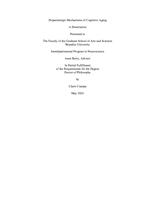 Dopaminergic Mechanisms of Cognitive Aging